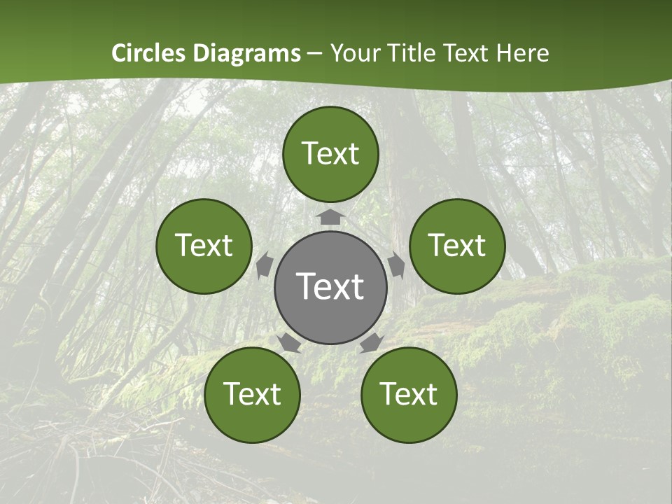 Sun Portrait Sunset PowerPoint Template