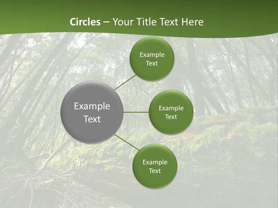 Sun Portrait Sunset PowerPoint Template