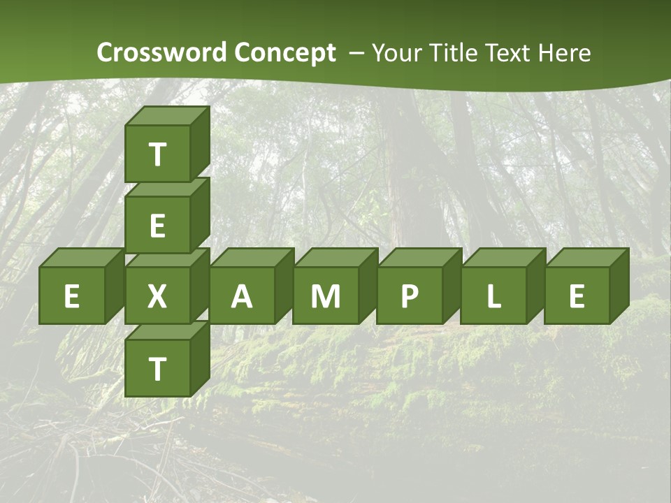 Sun Portrait Sunset PowerPoint Template