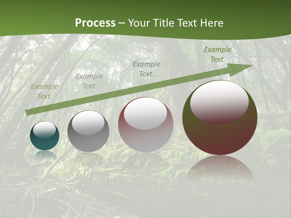 Sun Portrait Sunset PowerPoint Template