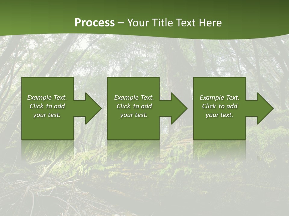 Sun Portrait Sunset PowerPoint Template