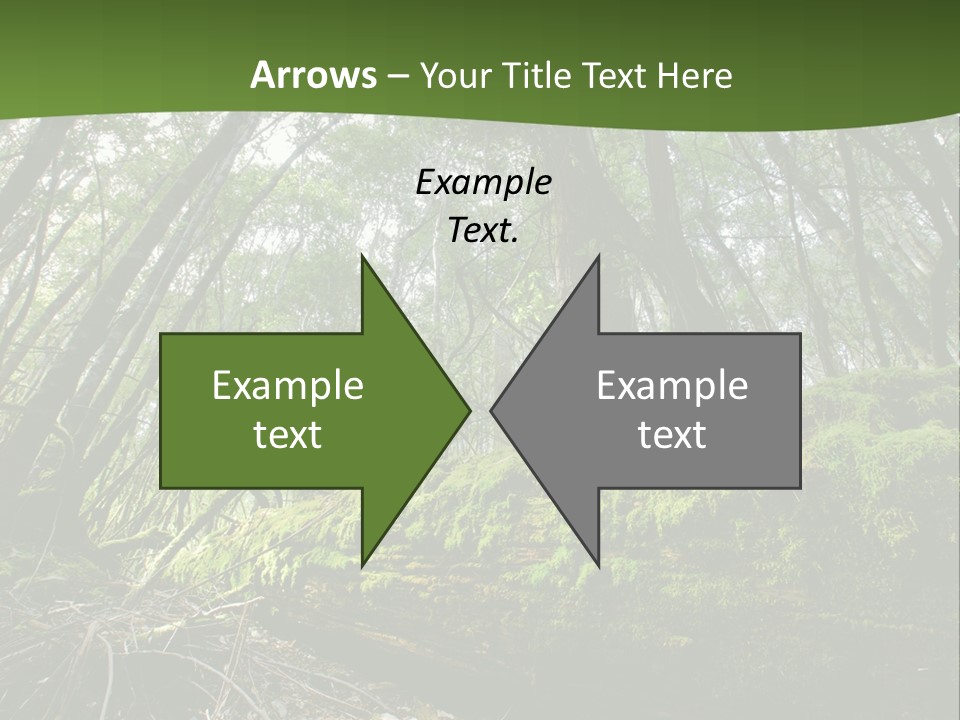 Sun Portrait Sunset PowerPoint Template