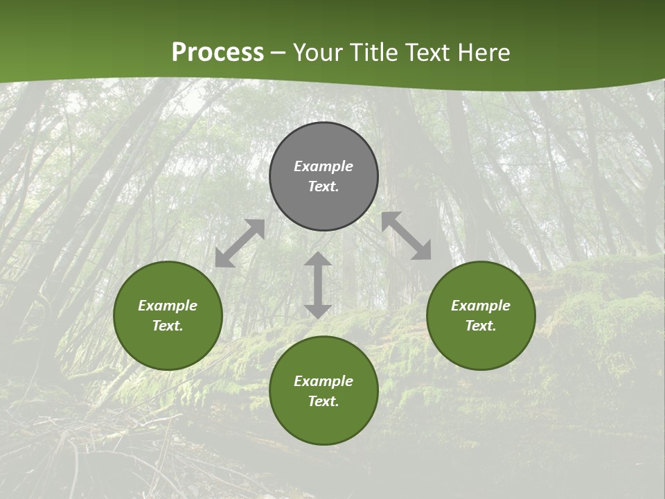 Sun Portrait Sunset PowerPoint Template