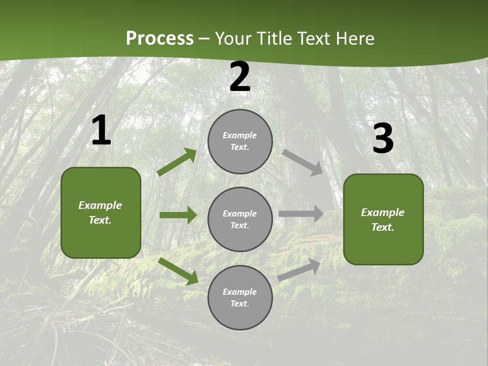 Sun Portrait Sunset PowerPoint Template