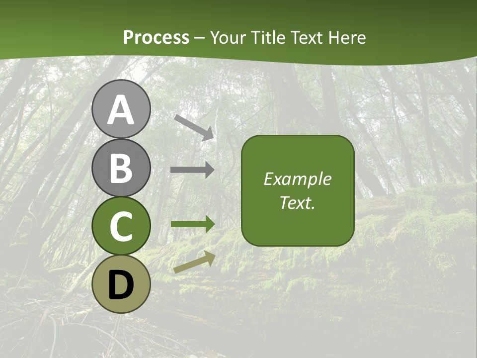 Sun Portrait Sunset PowerPoint Template