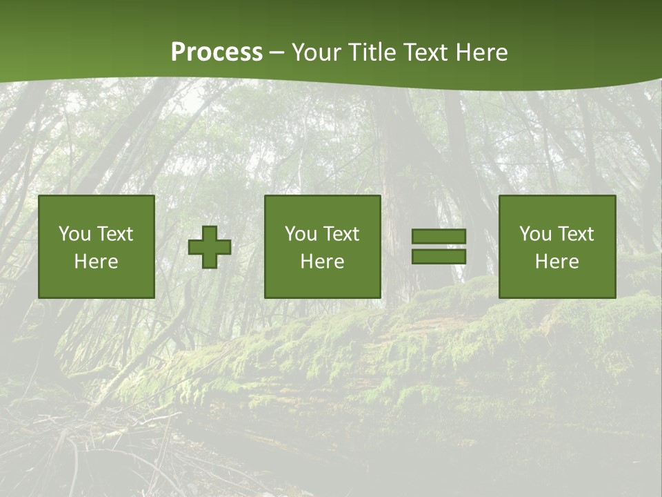 Sun Portrait Sunset PowerPoint Template