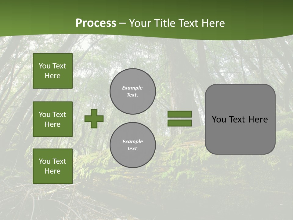 Sun Portrait Sunset PowerPoint Template