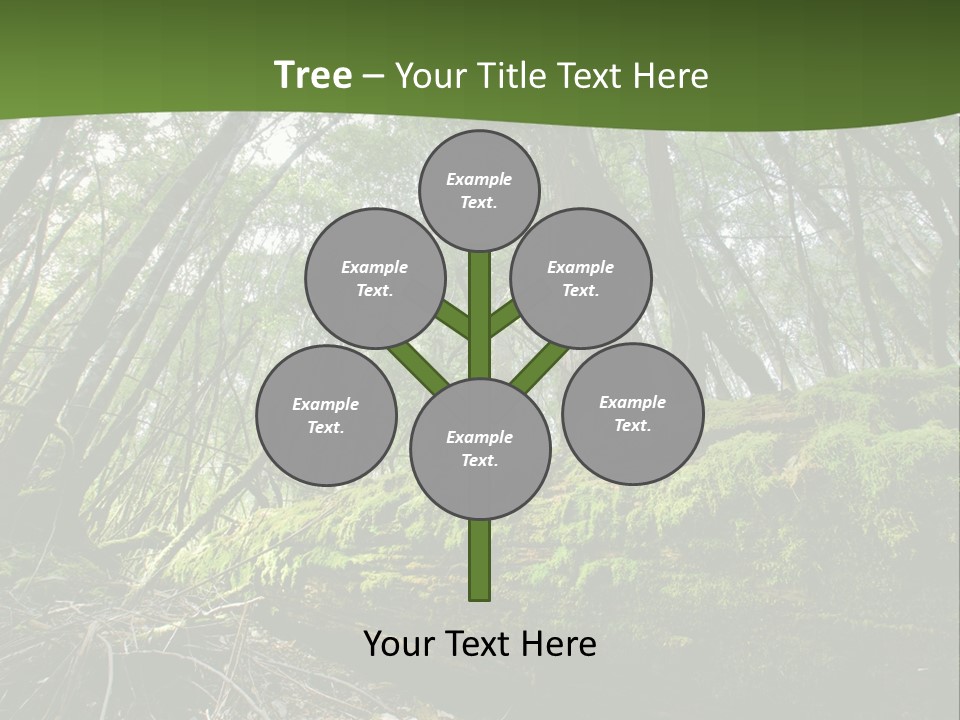 Sun Portrait Sunset PowerPoint Template