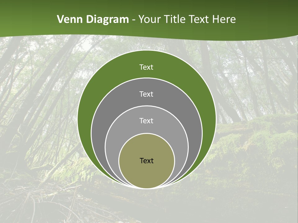 Sun Portrait Sunset PowerPoint Template