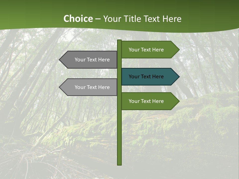 Sun Portrait Sunset PowerPoint Template