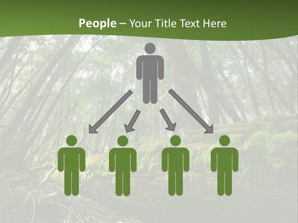 Sun Portrait Sunset PowerPoint Template