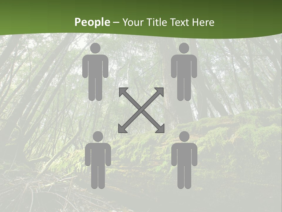 Sun Portrait Sunset PowerPoint Template