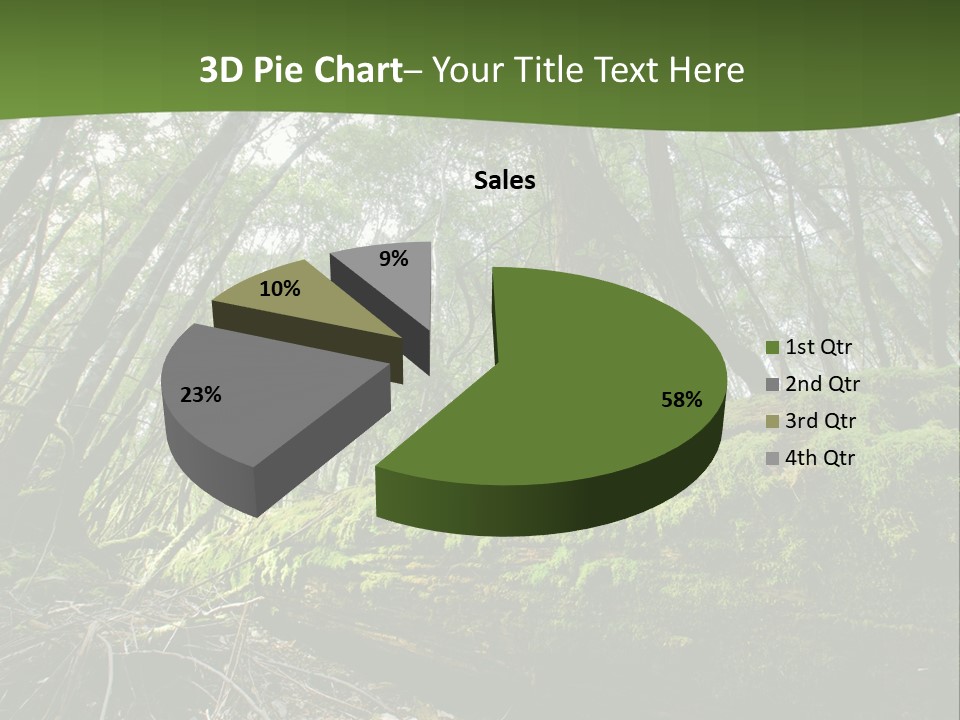 Sun Portrait Sunset PowerPoint Template