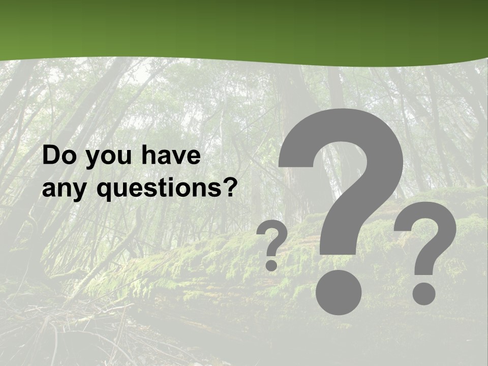 Sun Portrait Sunset PowerPoint Template