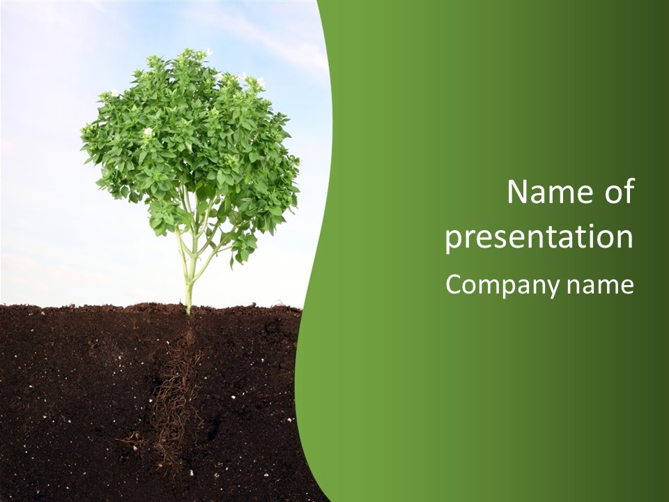 Brown Soil Flower PowerPoint Template