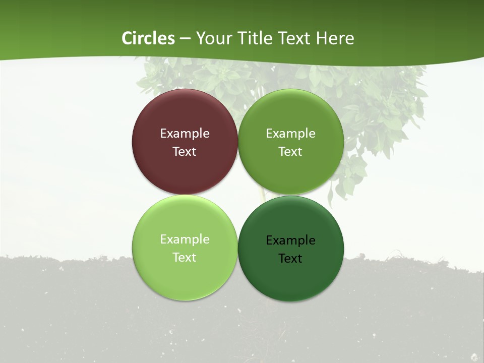 Brown Soil Flower PowerPoint Template