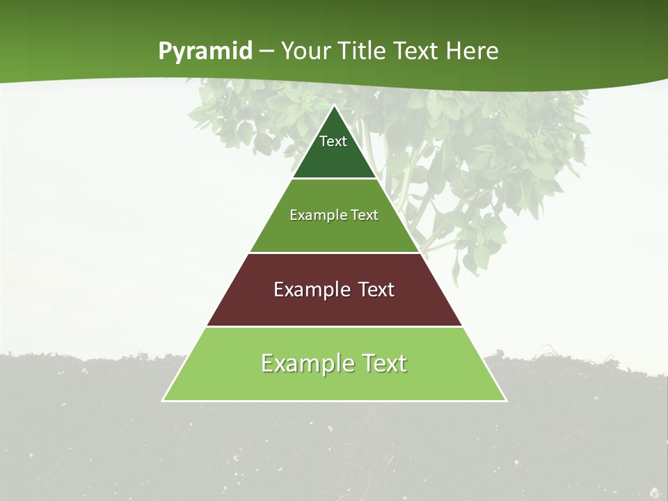 Brown Soil Flower PowerPoint Template