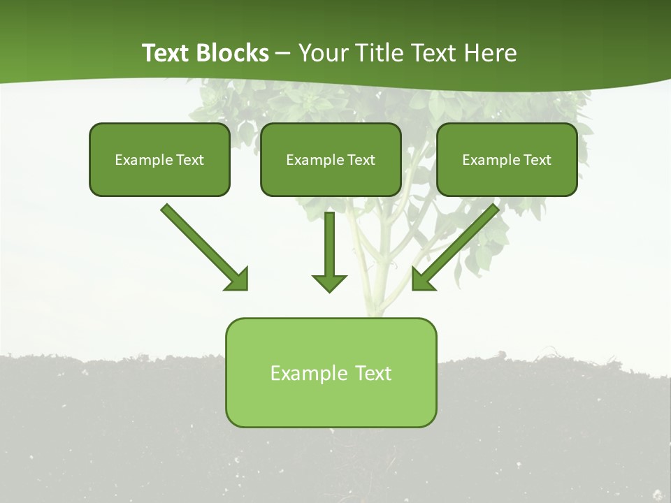 Brown Soil Flower PowerPoint Template
