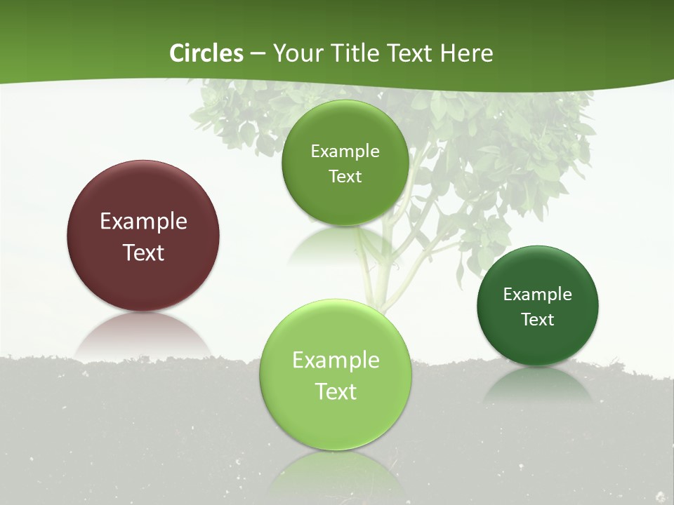 Brown Soil Flower PowerPoint Template