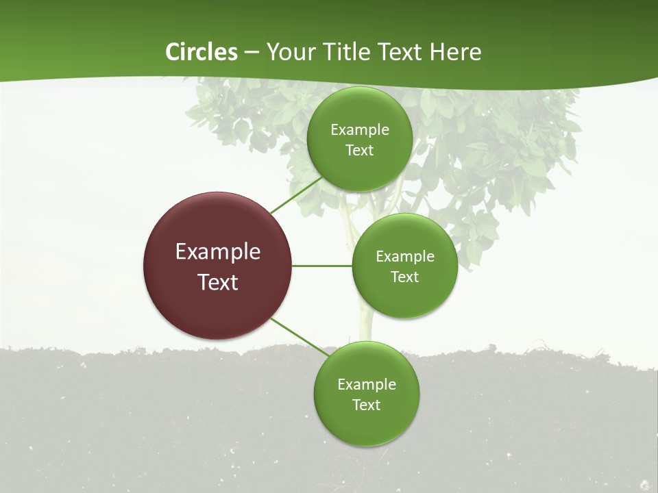 Brown Soil Flower PowerPoint Template