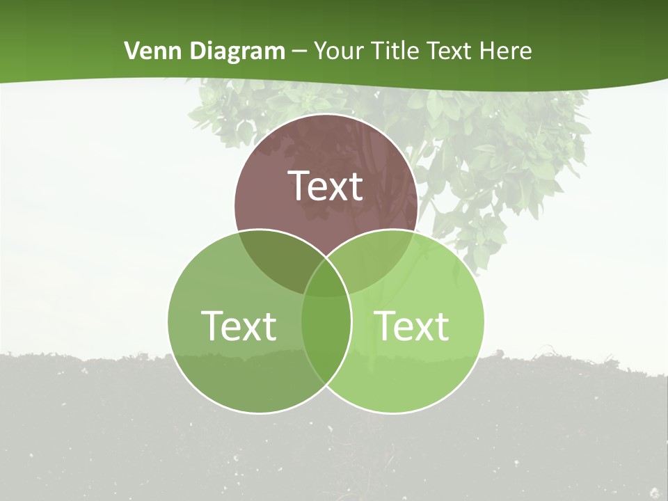 Brown Soil Flower PowerPoint Template