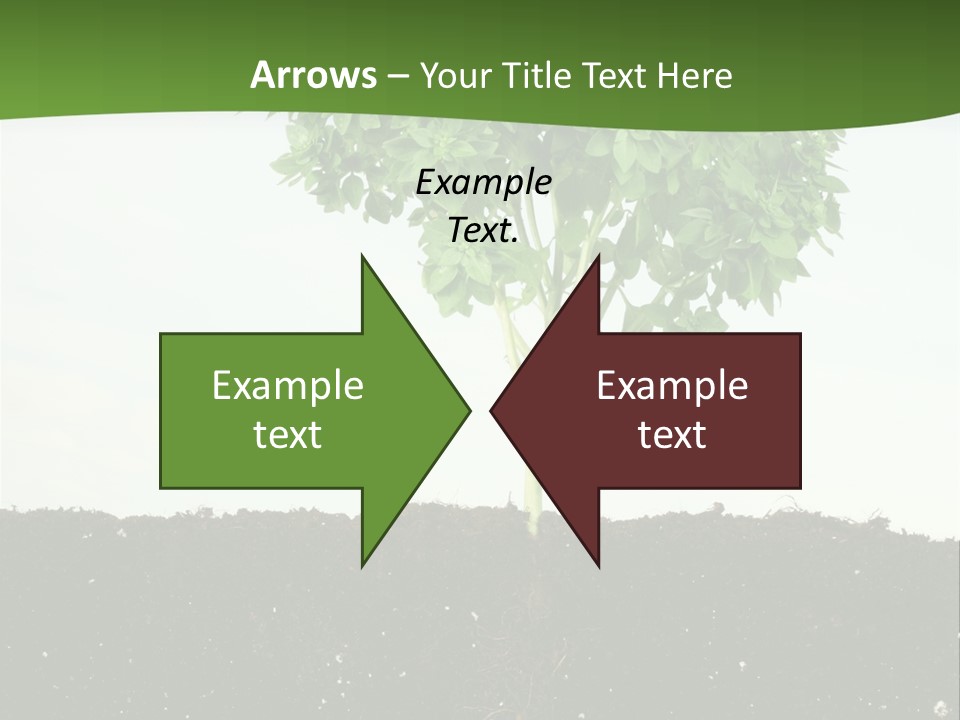 Brown Soil Flower PowerPoint Template