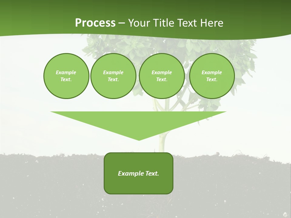 Brown Soil Flower PowerPoint Template