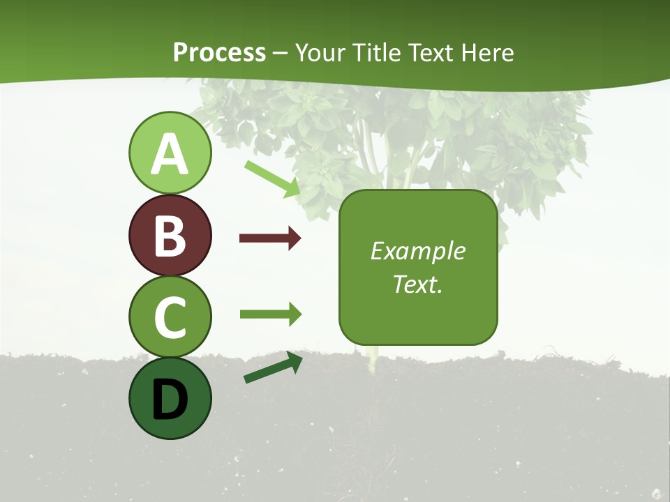 Brown Soil Flower PowerPoint Template