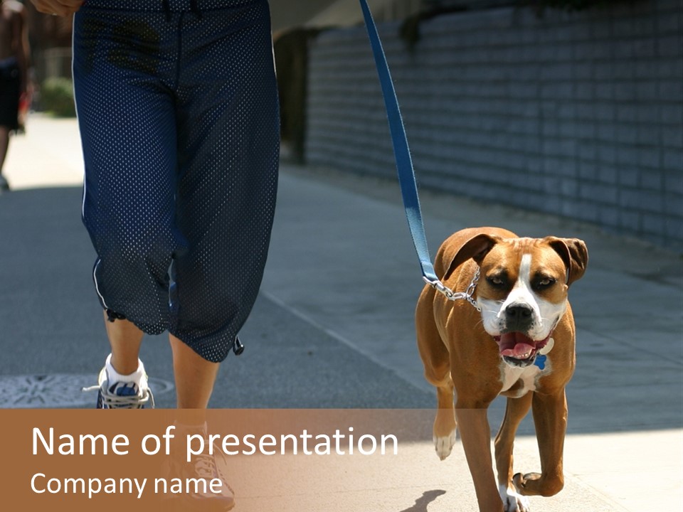 Santa Doggy Dog PowerPoint Template