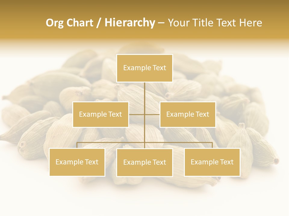 Text Free Space Closeup Fresh PowerPoint Template