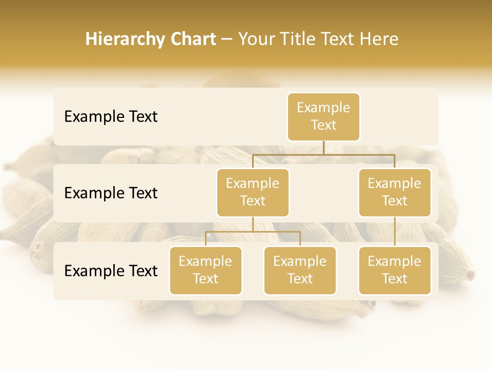 Text Free Space Closeup Fresh PowerPoint Template