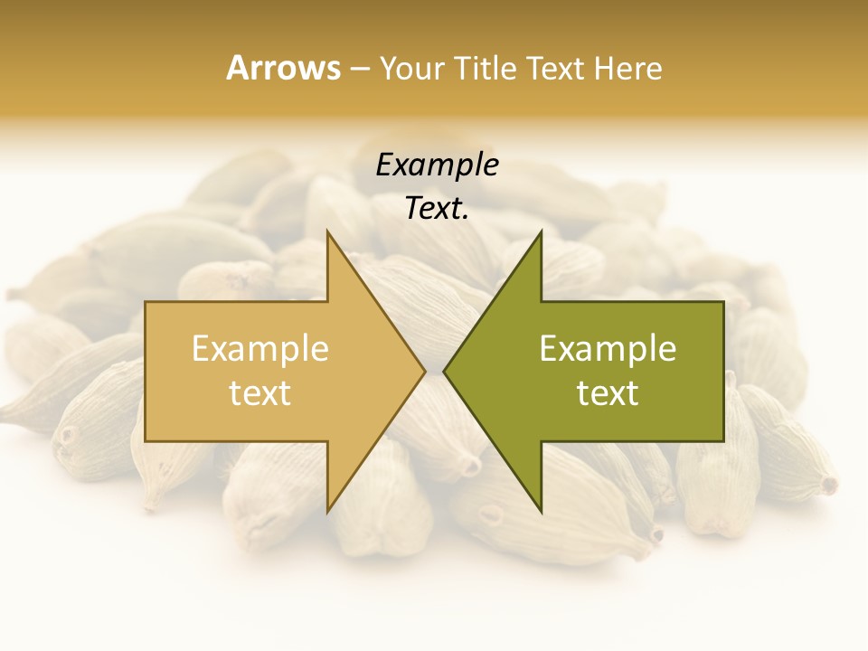 Text Free Space Closeup Fresh PowerPoint Template