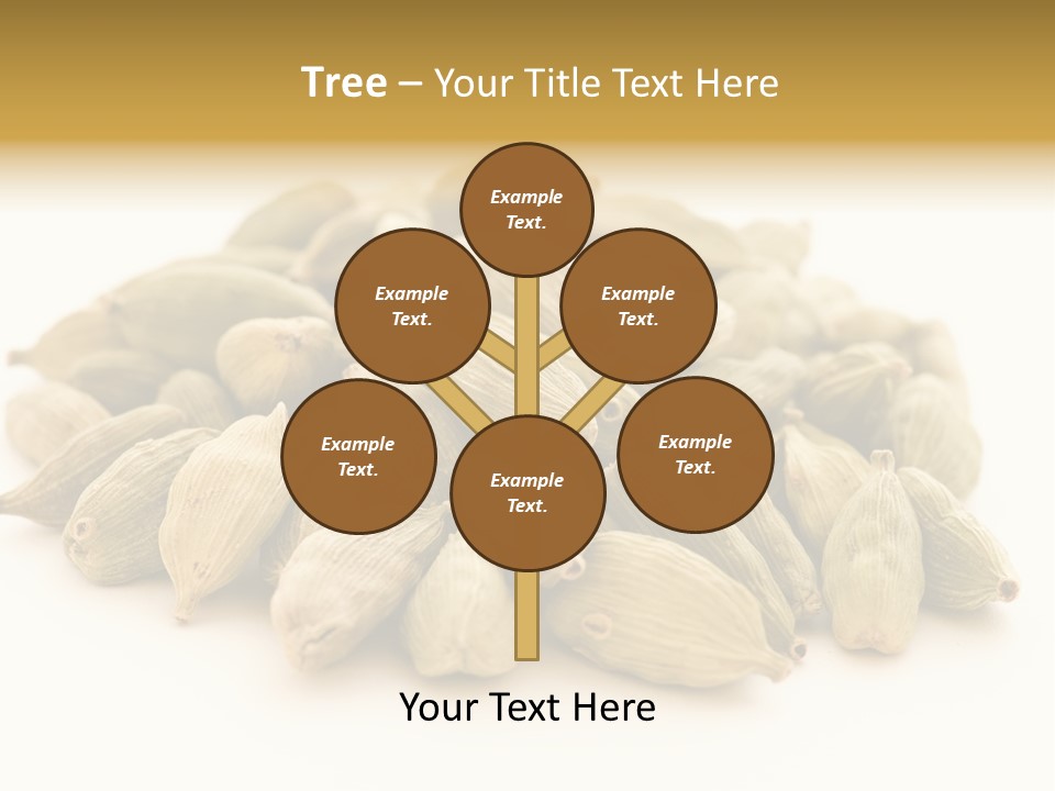 Text Free Space Closeup Fresh PowerPoint Template