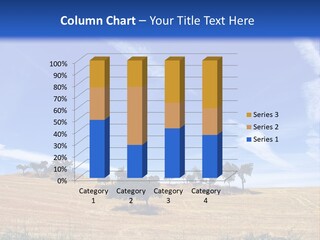 A Group Of Trees In The Middle Of A Desert PowerPoint Template
