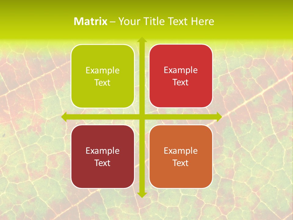 A Leaf With Red And Green Leaves On It PowerPoint Template