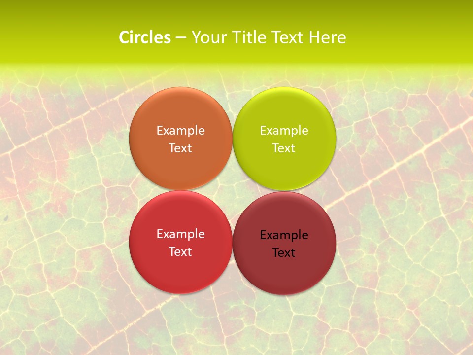 A Leaf With Red And Green Leaves On It PowerPoint Template