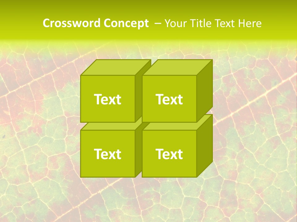 A Leaf With Red And Green Leaves On It PowerPoint Template