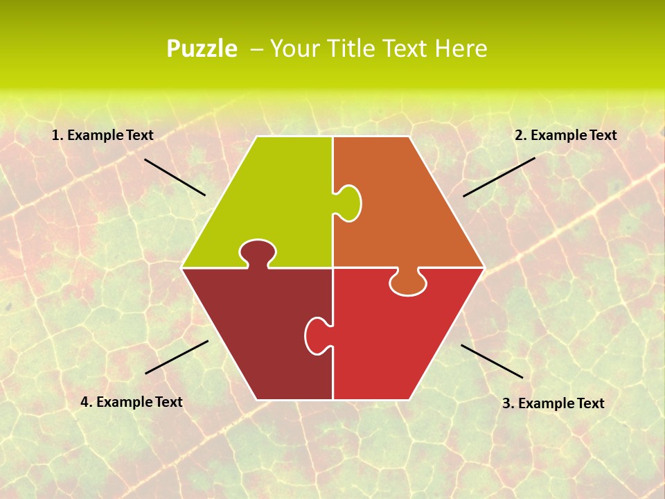 A Leaf With Red And Green Leaves On It PowerPoint Template