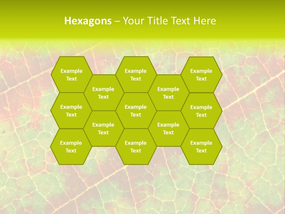 A Leaf With Red And Green Leaves On It PowerPoint Template