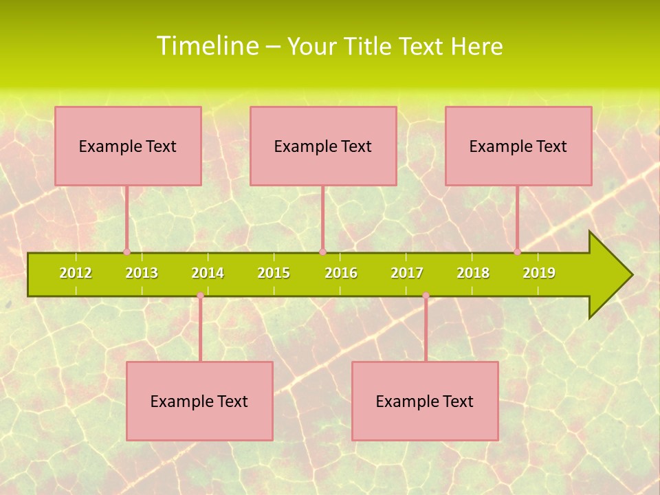 A Leaf With Red And Green Leaves On It PowerPoint Template