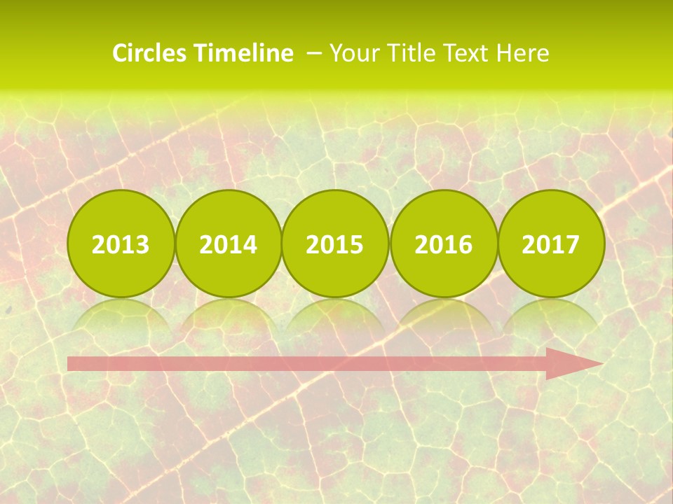 A Leaf With Red And Green Leaves On It PowerPoint Template