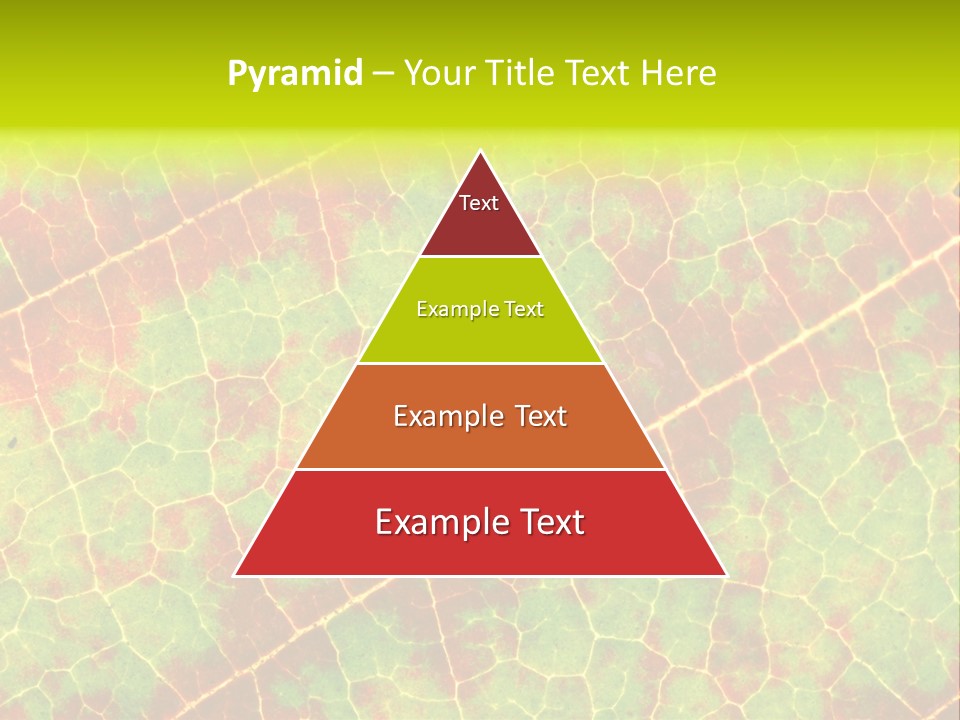 A Leaf With Red And Green Leaves On It PowerPoint Template