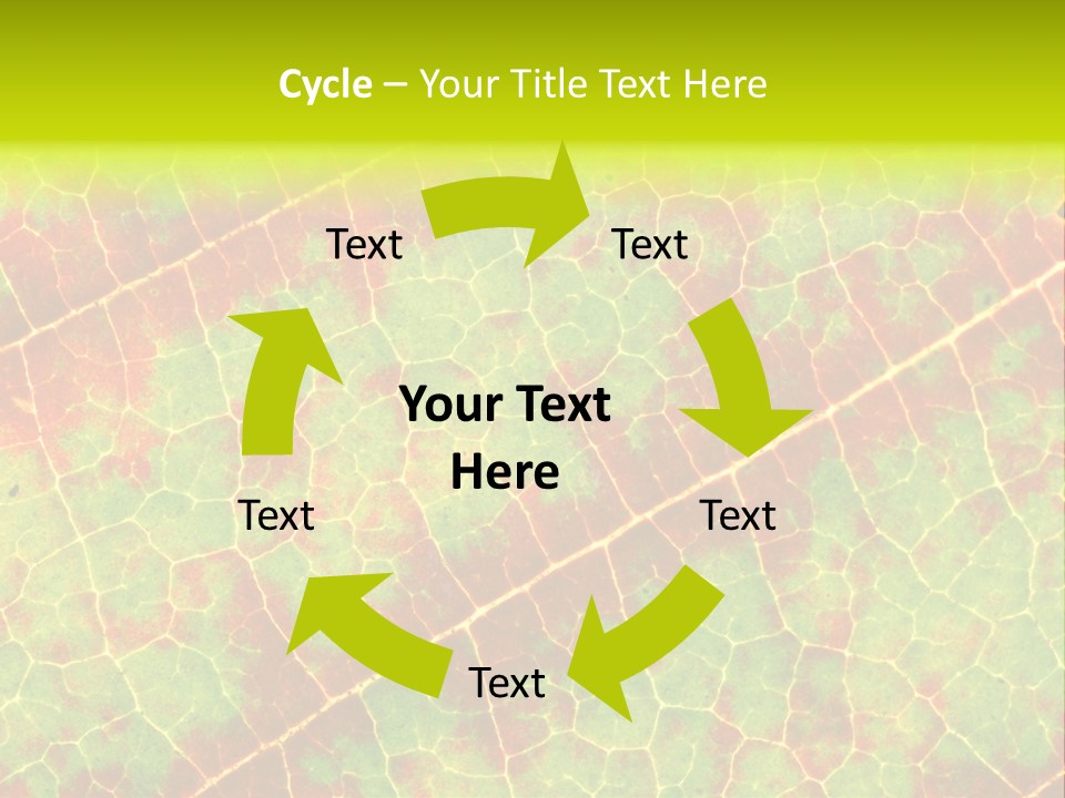 A Leaf With Red And Green Leaves On It PowerPoint Template