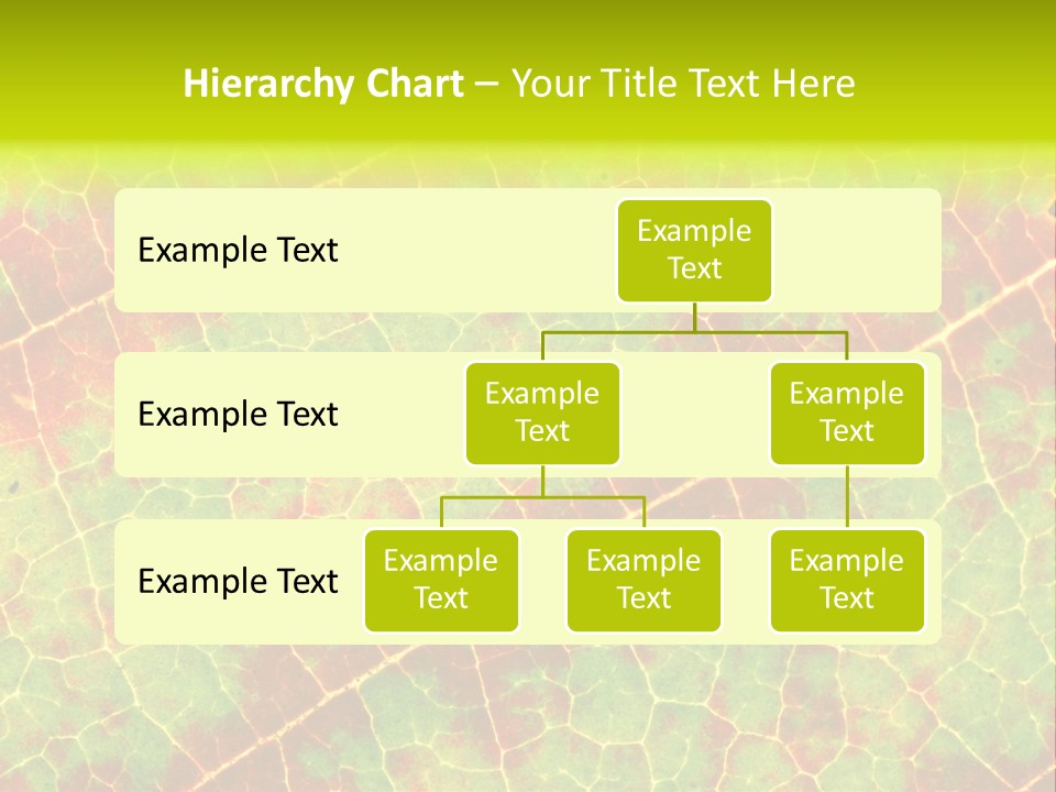 A Leaf With Red And Green Leaves On It PowerPoint Template