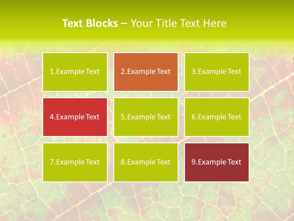A Leaf With Red And Green Leaves On It PowerPoint Template