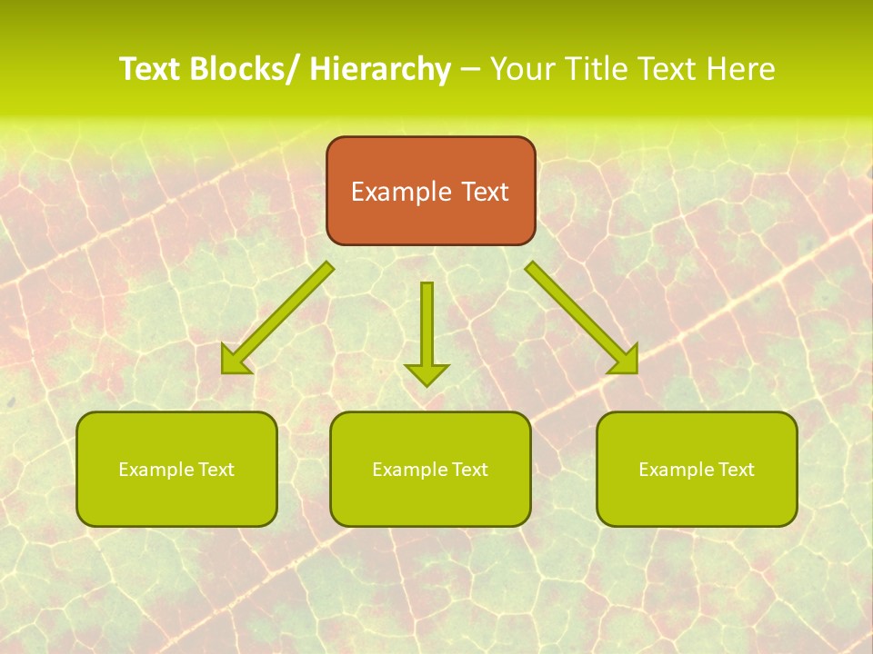 A Leaf With Red And Green Leaves On It PowerPoint Template