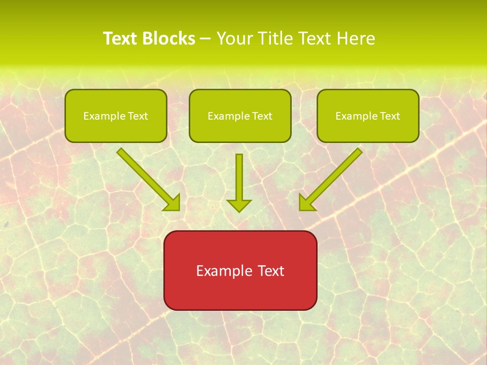 A Leaf With Red And Green Leaves On It PowerPoint Template