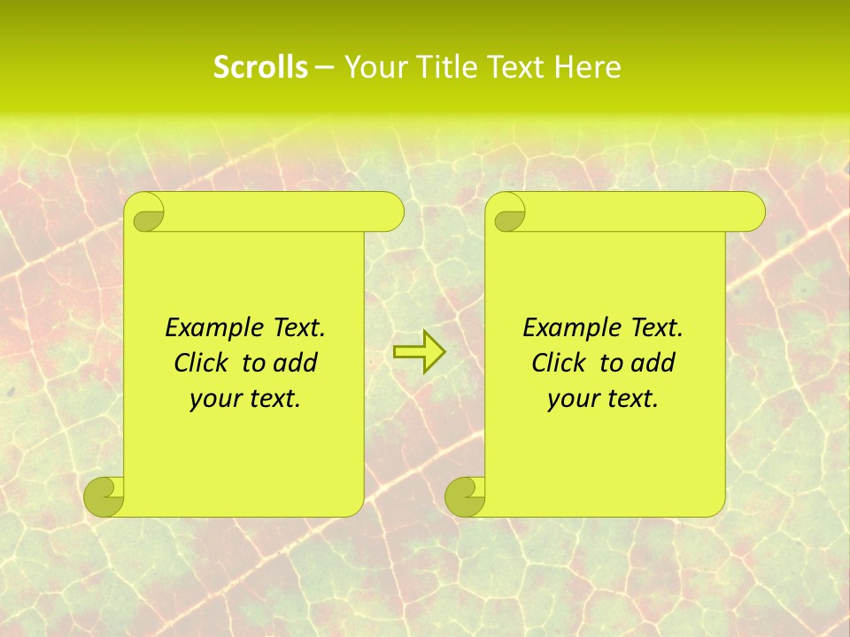 A Leaf With Red And Green Leaves On It PowerPoint Template