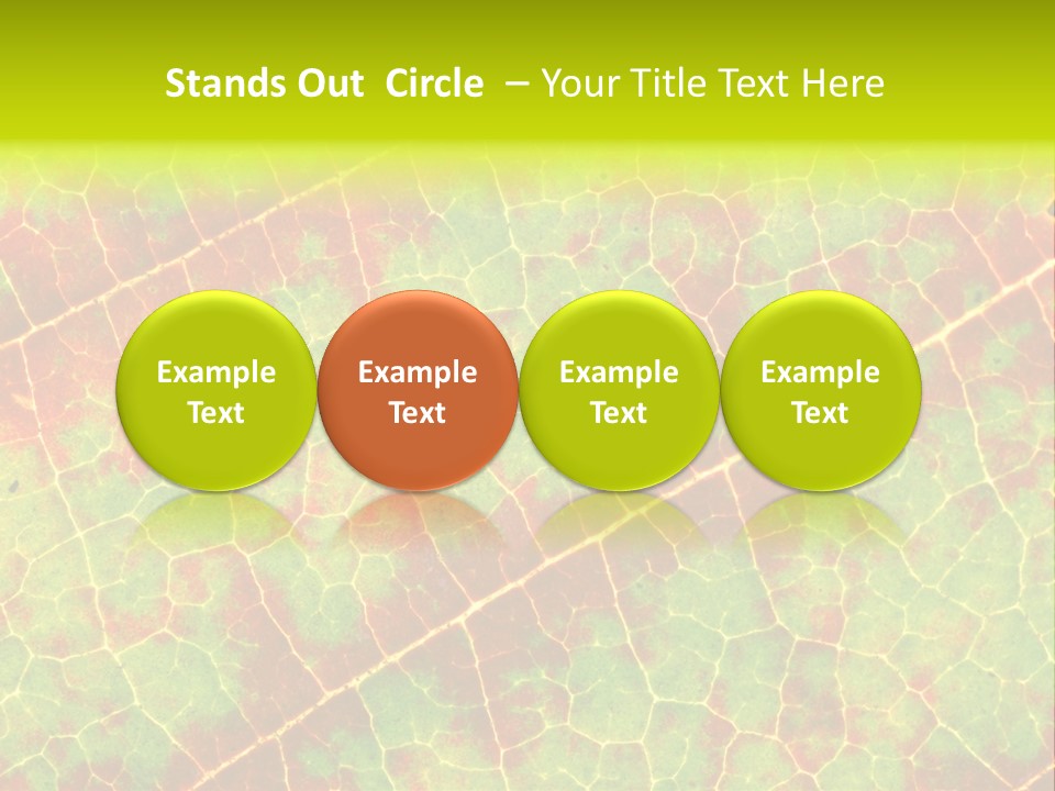 A Leaf With Red And Green Leaves On It PowerPoint Template