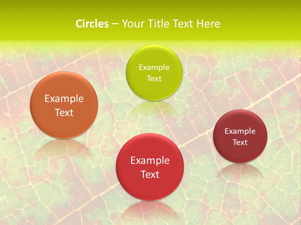 A Leaf With Red And Green Leaves On It PowerPoint Template